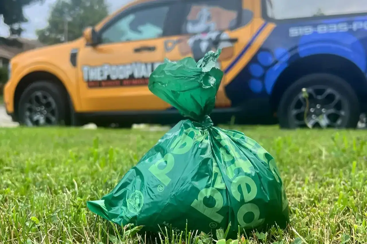 The Poop Valet technician completing weekly dog poop removal