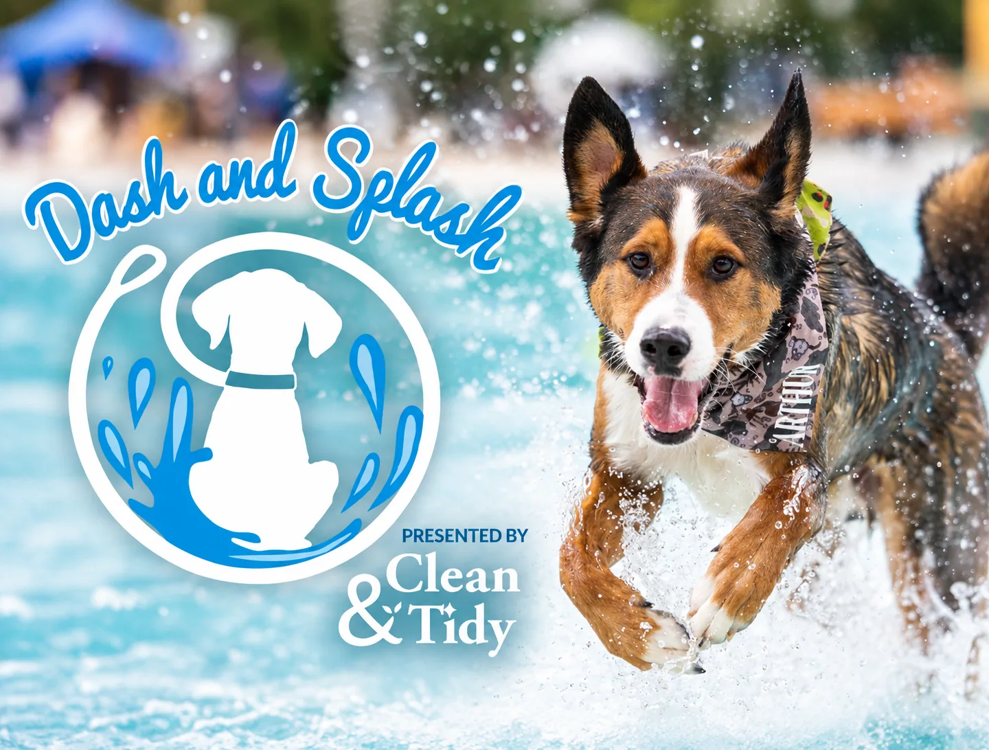 The Poop Valet At The Dash & Splash 2026 in Waterloo Region